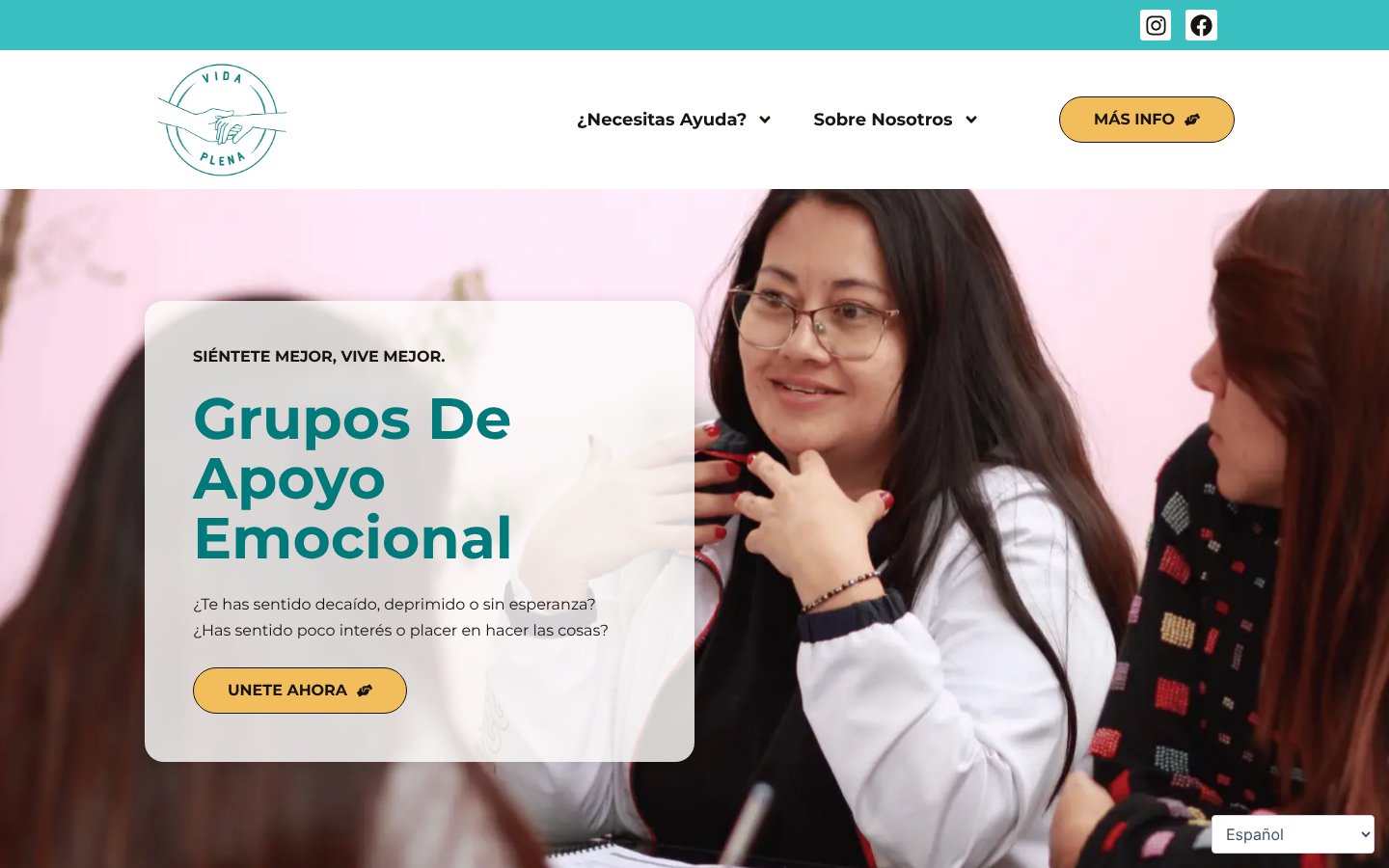 Vida Plena website homepage