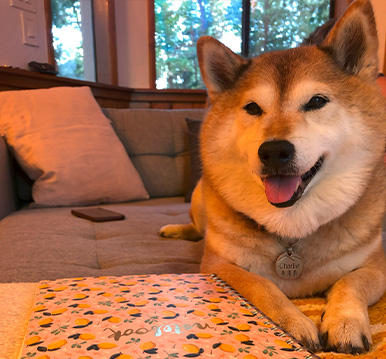 Charlie, Treat Manager