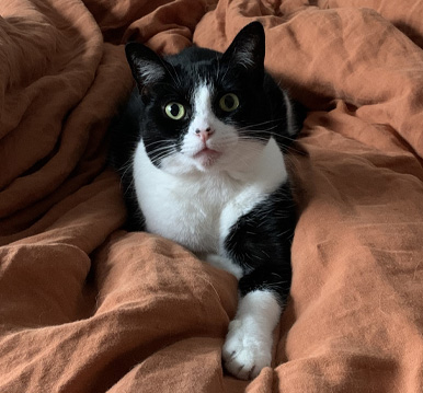 Winnie Cooper, Self Care Manager